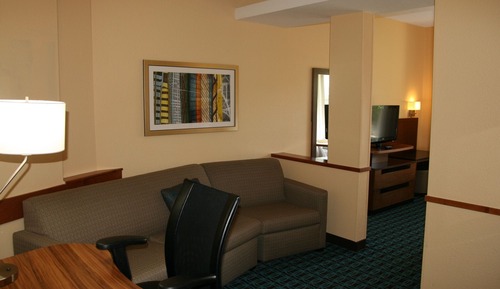 Suite, 1 King Bed with Sofa bed