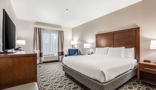Standard Room, 1 King Bed, Non Smoking