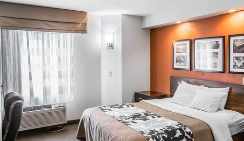 Room, 1 Queen Bed, Accessible, Non Smoking