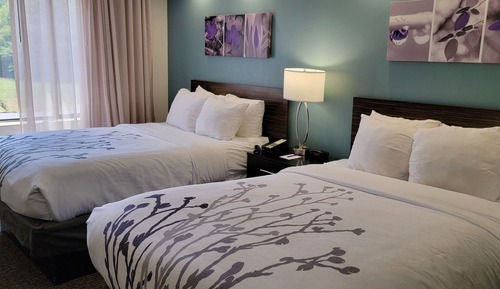 Standard Double Room, 2 Double Beds, Non Smoking