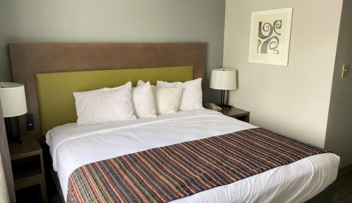 Suite, 1 King Bed with Sofa bed, Non Smoking, Refrigerator & Microwave (with Sofabed)