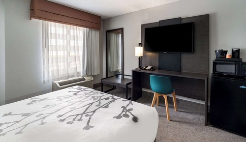 Room, 1 Queen Bed, Accessible, Non Smoking (Accessible Tub)