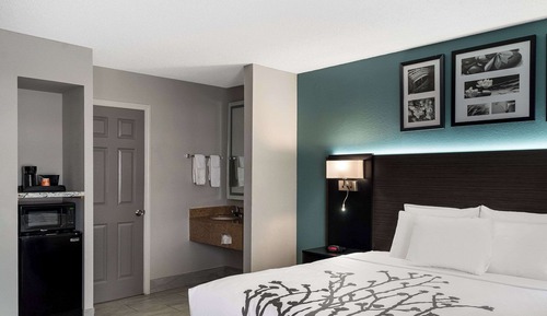 Room, 1 King Bed, Non Smoking