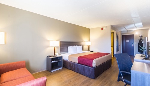 Standard Room, 1 King Bed, Non Smoking