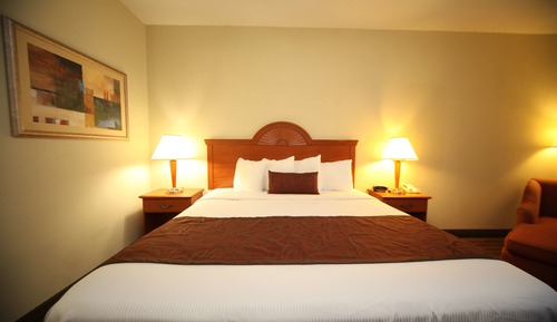 Deluxe Room, 1 King Bed, Non Smoking, Refrigerator & Microwave