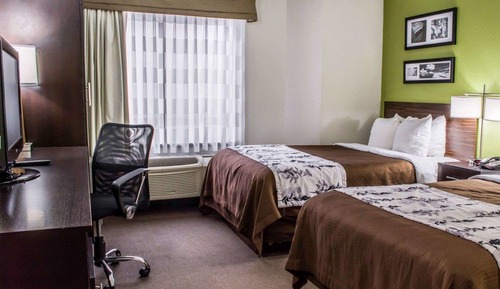 Standard Double Room, 2 Double Beds, Non Smoking