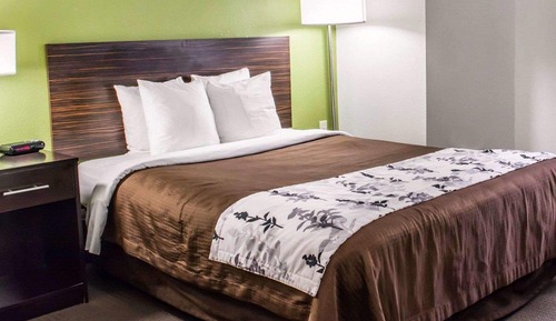 Room, 1 Queen Bed, Accessible, Non Smoking