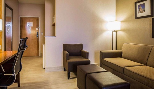 Suite (1 King bed and 1 Sofabed)