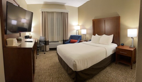 Room, 1 Queen Bed, Accessible, Non Smoking (Mobility and Hearing, Roll-In Shower)