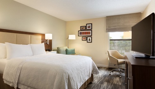 Room, 1 Queen Bed, Non Smoking