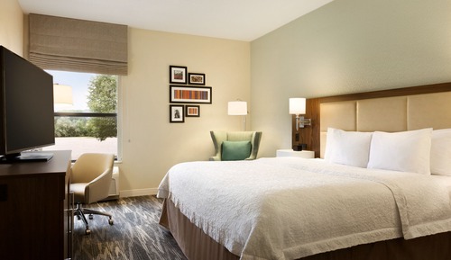 Room, 1 King Bed, Accessible
