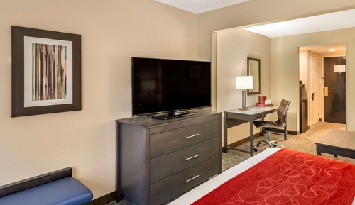 Standard Room, 1 King Bed with Sofa bed, Non Smoking