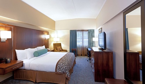Room, 1 King Bed