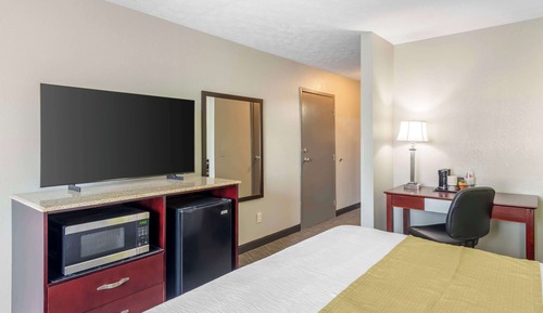 Standard Room, 1 King Bed, Non Smoking, Refrigerator & Microwave