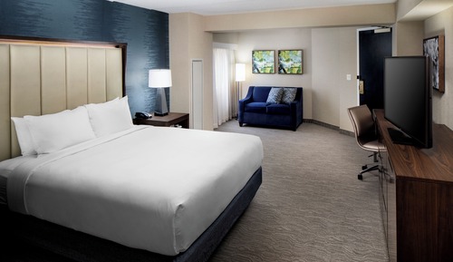 1 King Bed, Mobility Accessible, Roll In Showe