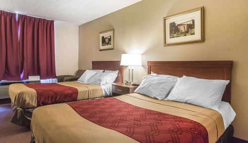 Standard Double Room, 2 Double Beds, Non Smoking