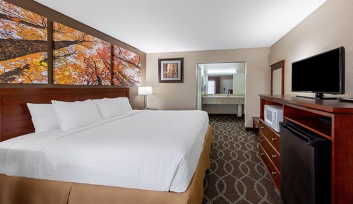 Room, 1 King Bed, Non Smoking, Refrigerator