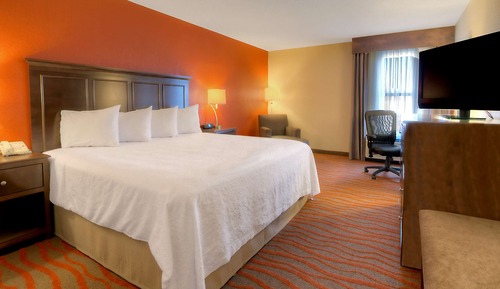 Room, 1 King Bed, Non Smoking