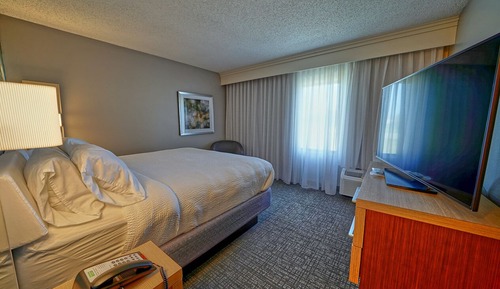 Suite, 1 King Bed with Sofa bed