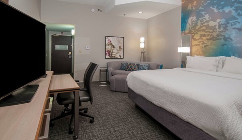 Room, 1 King Bed with Sofa bed (Hearing Accessible)
