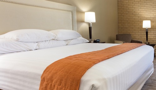Deluxe Room, 1 King Bed with Sofa bed, Refrigerator & Microwave (Upper Floor)