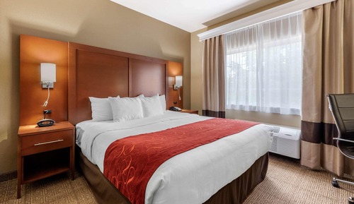 Suite, 1 King Bed with Sofa bed, Accessible, Courtyard View (Non-Smoking)