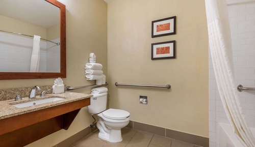 Suite, 1 King Bed with Sofa bed, Accessible, Non Smoking