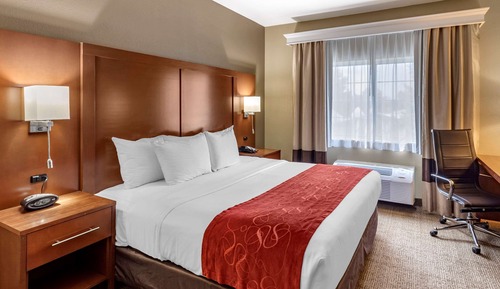 Suite, 1 King Bed, Non Smoking