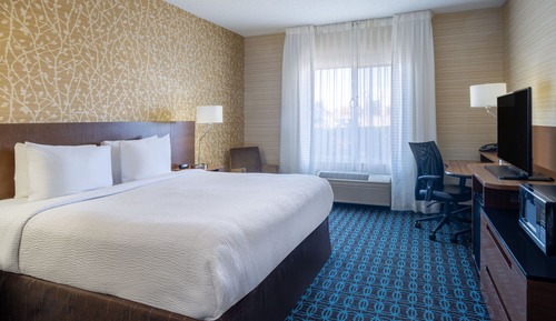 Room, 1 King Bed