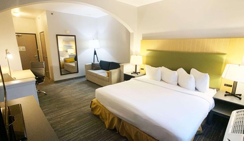 Room, 1 King Bed, Non Smoking