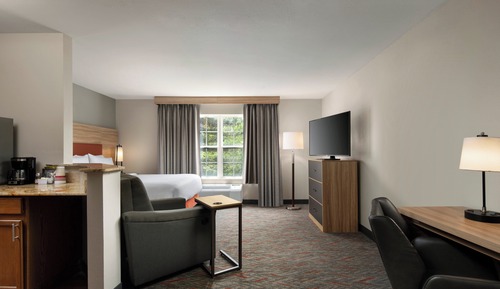 Studio Suite, 1 Queen Bed, Accessible (Mobility)