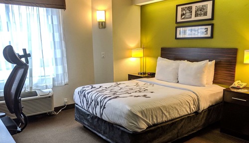 Room, 1 Queen Bed, Accessible, Non Smoking