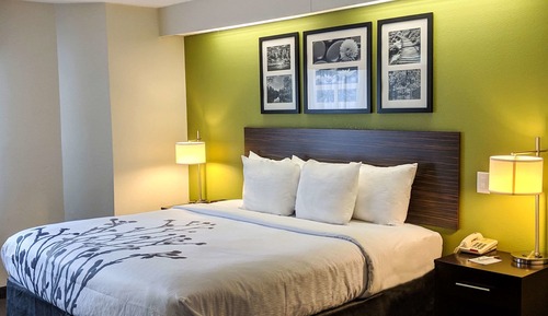 Room, 1 King Bed, Non Smoking