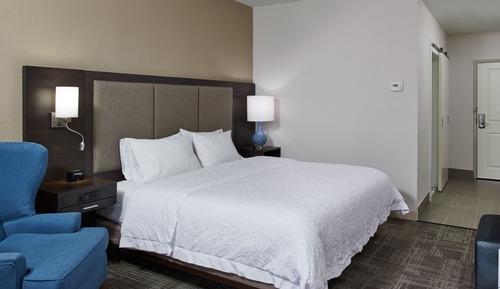 Room, 1 King Bed with Sofa bed, Refrigerator