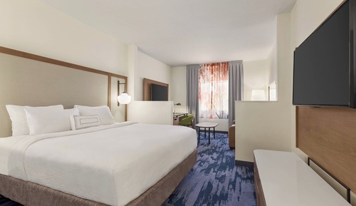 Room, 1 King Bed with Sofa bed