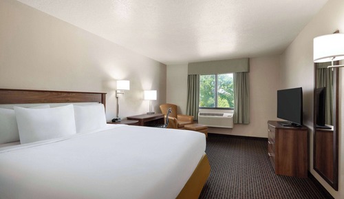 Room, 1 King Bed, Non Smoking