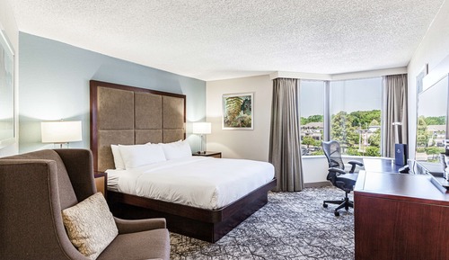 Deluxe room with king bed