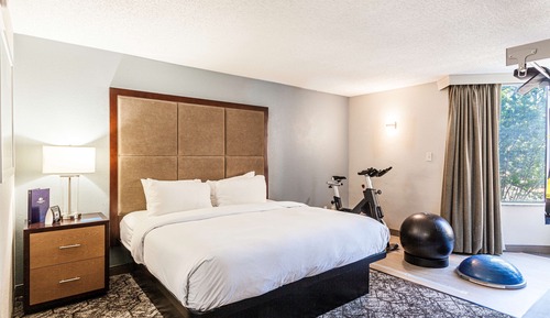 Room, 1 King Bed (Fitness)
