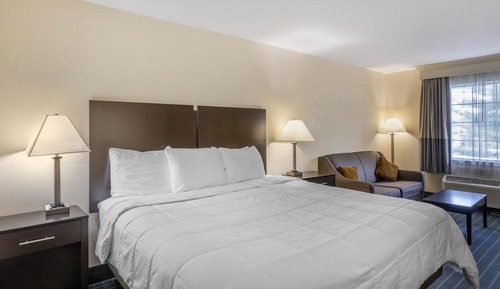 Standard Room, 1 King Bed, Non Smoking, Microwave (with Sofabed)