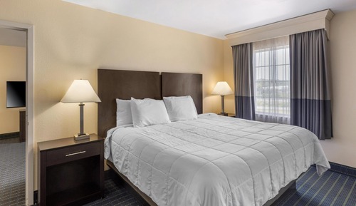 Suite, 1 King Bed, Non Smoking, Microwave (with Sofabed)