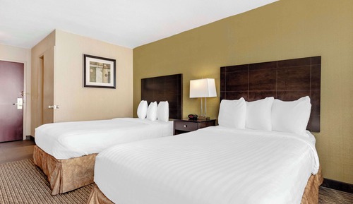Standard Room, 2 Double Beds, Non Smoking, Refrigerator & Microwave