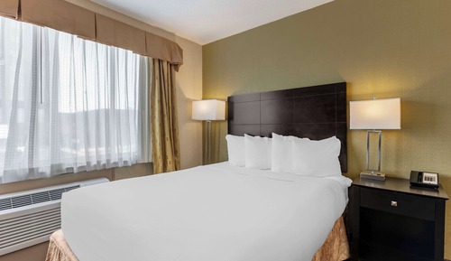 Standard Room, 1 Queen Bed, Non Smoking, Refrigerator & Microwave
