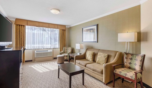 Suite, 1 King Bed, Non Smoking, Refrigerator & Microwave (Living Room;with Sofabed)