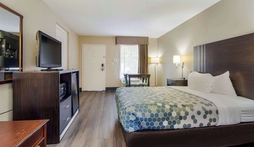 Room, 1 Queen Bed, Accessible, Smoking