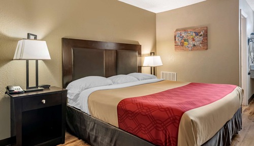 Standard Room, 1 King Bed, Non Smoking
