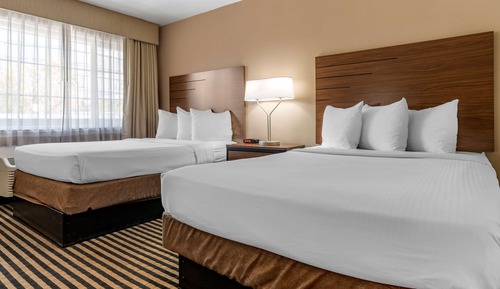 Standard Room, 2 Double Beds, Non Smoking, Refrigerator & Microwave