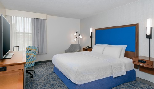 Room, 1 King Bed, Accessible, Non Smoking