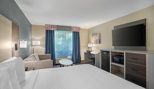 Standard Room, 1 King Bed, Accessible, Bathtub