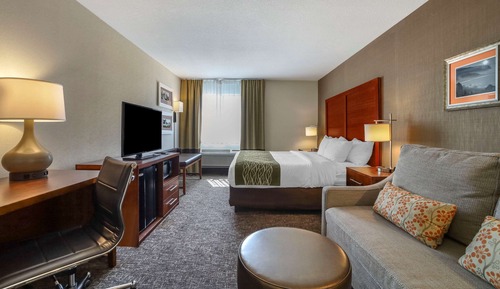 Standard Room, 1 King Bed, Non Smoking, Jetted Tub