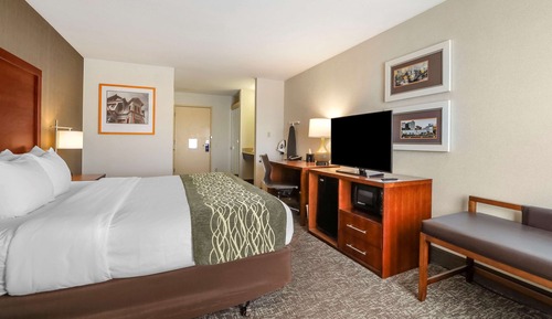 Room, 1 King Bed, Accessible, Non Smoking